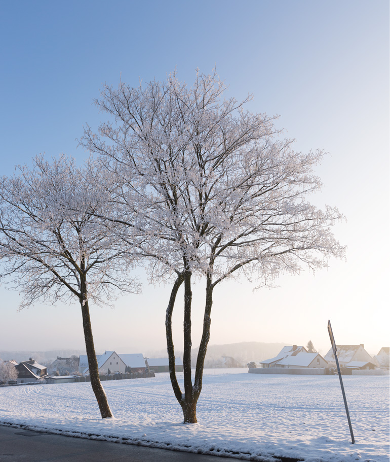 Vorher